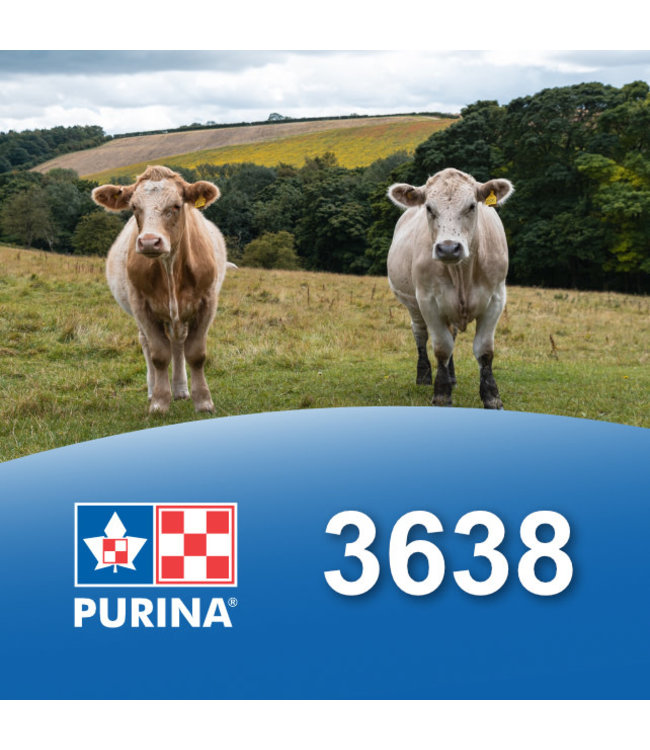 Cargill-Purina 3638 - V-Tech 36%