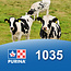 Cargill-Purina 1035 - Extruveau Immunitek