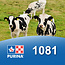 Cargill-Purina 1081 - Genitaure 18%
