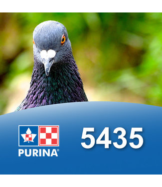 Cargill-Purina 5435 - Conditionneur d'envol pour gibiers à  plume