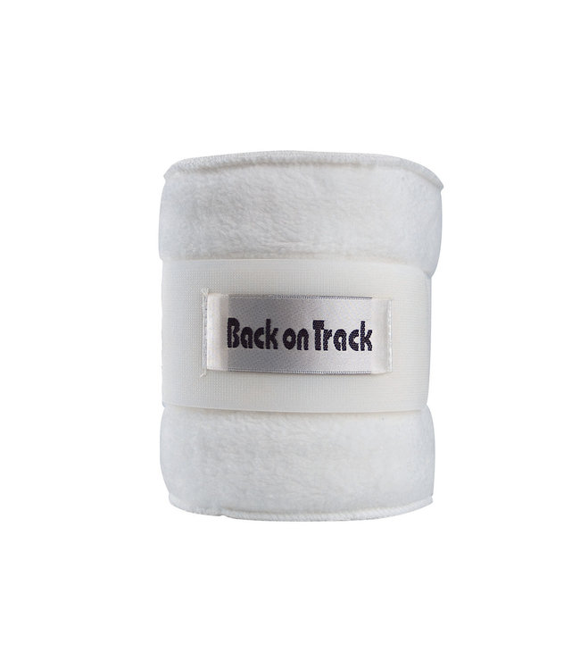 Back On Track Polo band