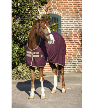 Couverture imperméable 100g Horseware Rhino