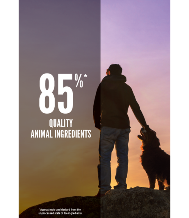 ORIJEN Regional Red Dry dog food Paddock Animal & Co