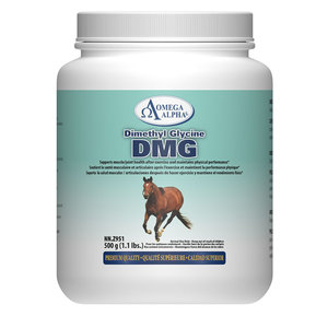 Omega Alpha Dimethyl glycine DMG