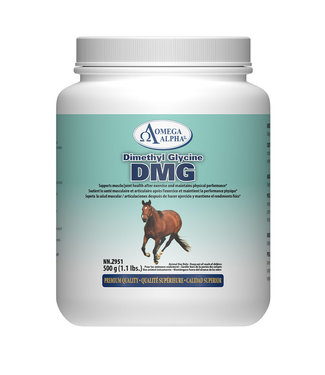 Omega Alpha Dimethyl glycine DMG