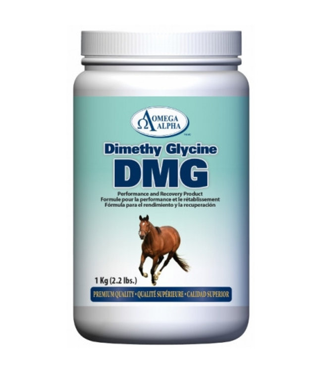 Omega Alpha Dimethyl glycine DMG