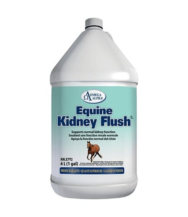 Omega Alpha Equine kidney flush