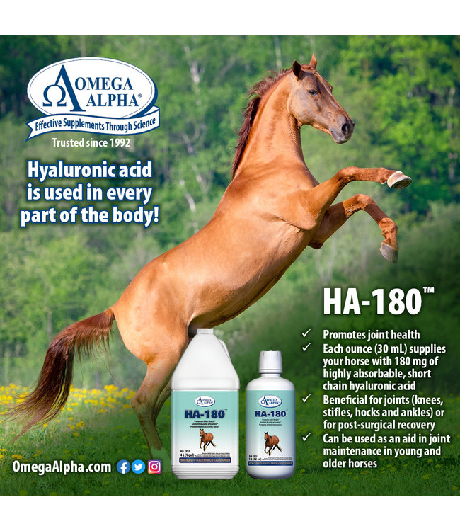 Oméga Alpha Equine HA180 Paddock Animal