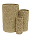 Living world Alfalfa Chew-nels