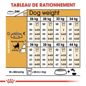 Royal Canin Chien adulte - BERGER ALLEMAND
