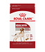Royal Canin Chien Adulte Moyenne race