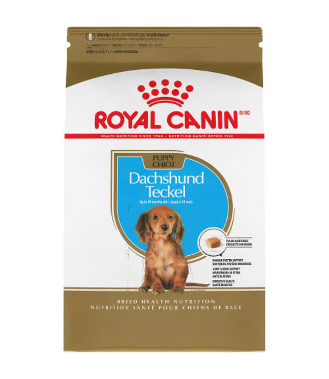 Royal Canin Nutrition Santé de Race CHIOT TECKEL – nourriture sèche pour chiots