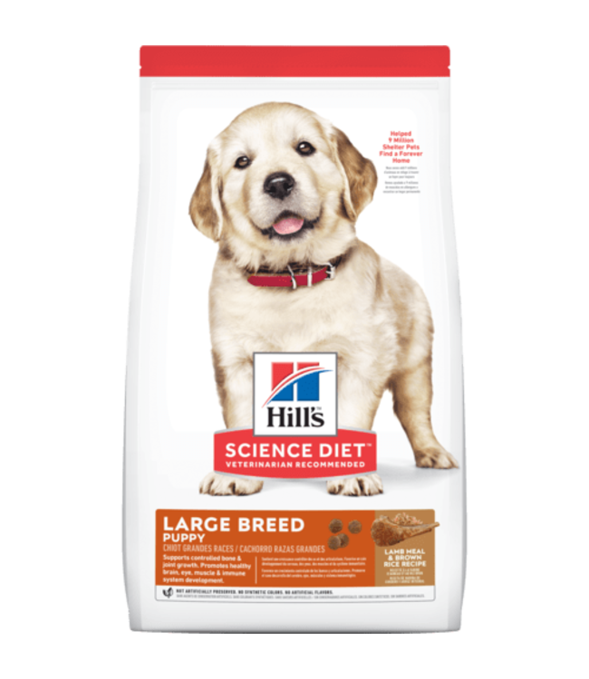 Hill's Science Diet Puppy Large breed Lamb