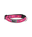 RC Pets Fresh Tracks Pink Clip Collar