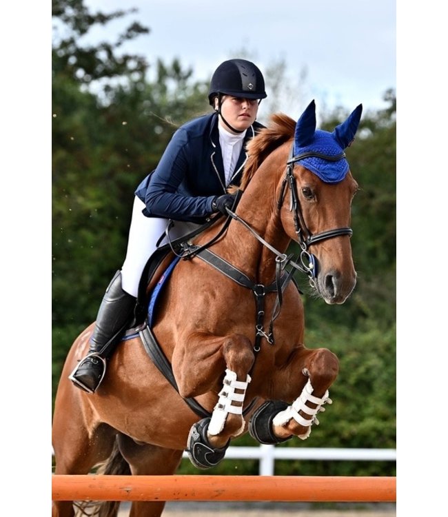 CAVALLO Botte pour cheval SPORT BOOT sole régulière Paddock Animal