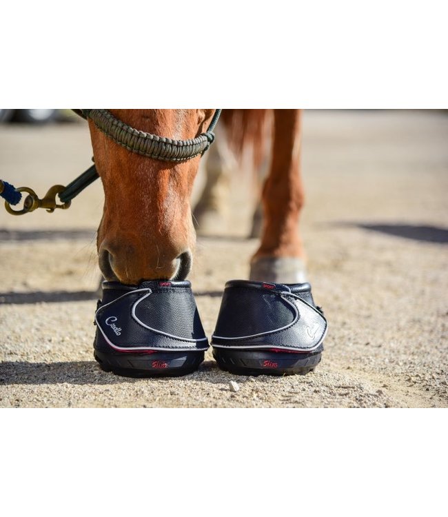 CAVALLO Botte pour cheval SPORT BOOT sole régulière Paddock Animal
