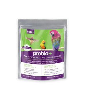Baci+ Probio + Probiotiques pour oiseaux