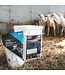 GROBER Colostrum déshydraté pour ovins/caprins