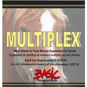 Basic Multiplex
