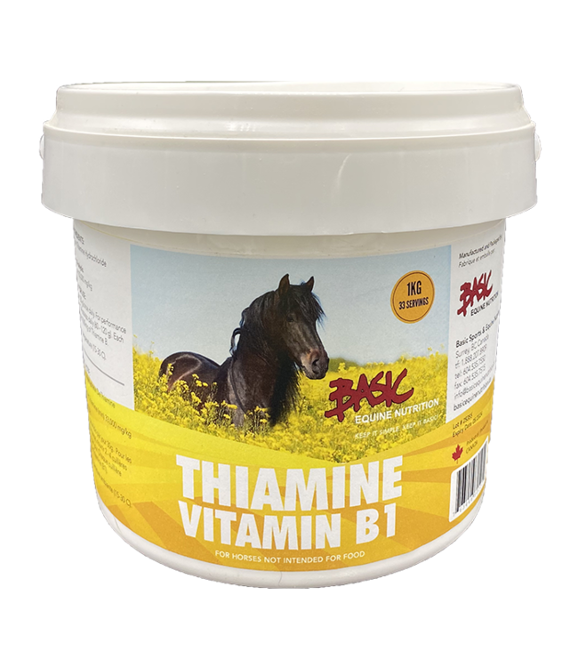 Basic Thiamine vitamine B1