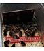 Cozy Products Cozy coop Heating panel for chicken coop