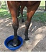 Strictly equine Epsom salts