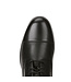 Ariat Heritage IV Paddock Boots