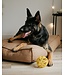 Bud'z Anemone Flat Dog Bed