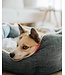 Bud'z Deluxe high-sided round dog bed