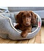 Bud'z Deluxe high-sided round dog bed
