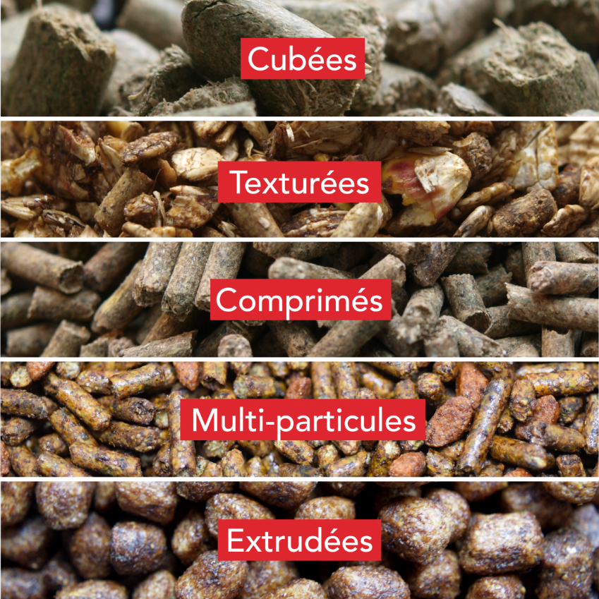 Textures des moulées (multi-espèce)