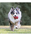 KONG Classic for Dogs