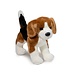 Douglas Beagle Plush