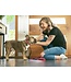 RC Pets Fresh Tracks Pink Clip Collar