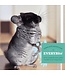 Oxbow Chinchillas food
