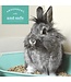 Oxbow Eco-straw wheat straw litter