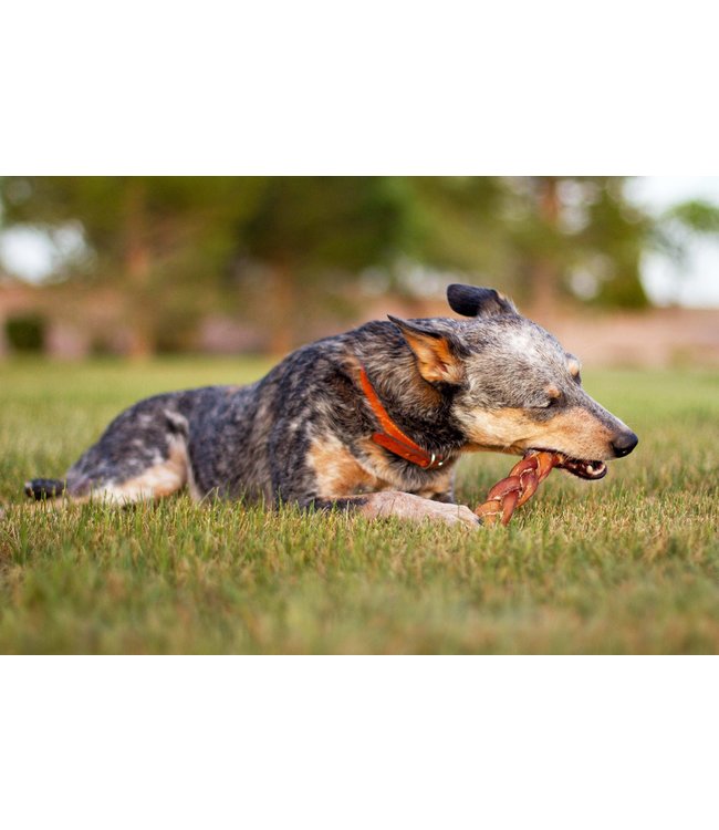 HERO DOG TREATS Bully Stick tressé Paddock Animal