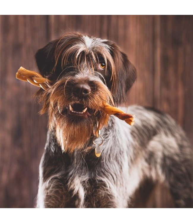 HERO DOG TREATS Bully Stick tressé Paddock Animal