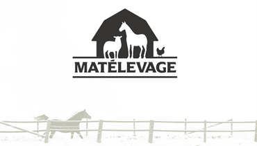 Matélevage