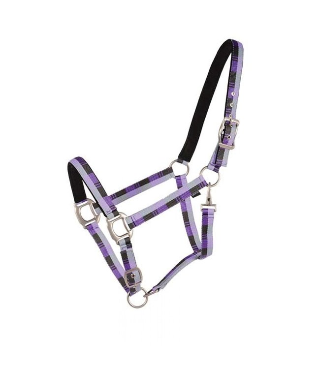 Country Legend Nubuck Horse Halter