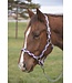 Country Legend Nubuck Horse Halter