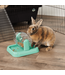 Oxbow Rolly Teaser interactive toy