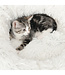 Catit Lit Moelleux Fluffy pour Animaux