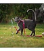 Bud'z Spiral Tie-Out Stake