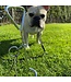 Bud'z Spiral Tie-Out Stake