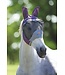 Shires Equestrian Deluxe fly mask with ears