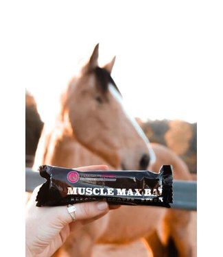 Precision Equine Muscle max bar