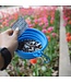Baci+ Probio Vivo Flora solutions for dogs