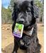Baci+ Pre & Probiotics Intestinal health for dogs