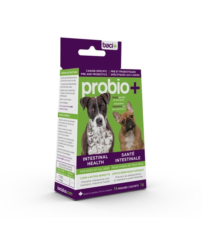 Baci+ Pré & Probiotiques Santé intestinale pour chien